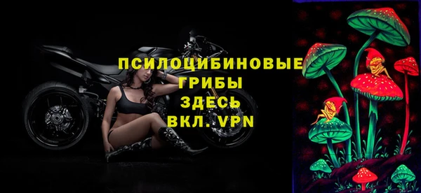 тгк Верея
