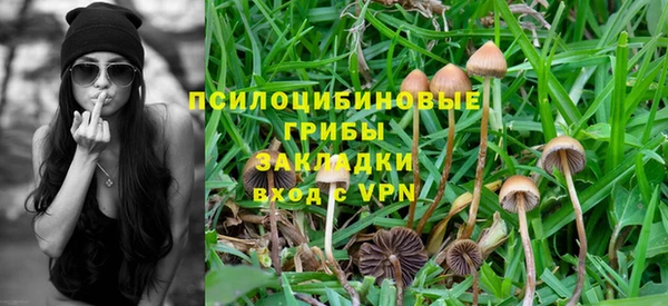 spice Бородино