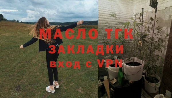 тгк Верея