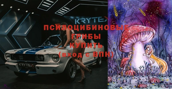 spice Бородино