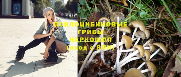 PSILOCYBIN Бронницы
