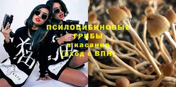 Альфа ПВП Бугульма