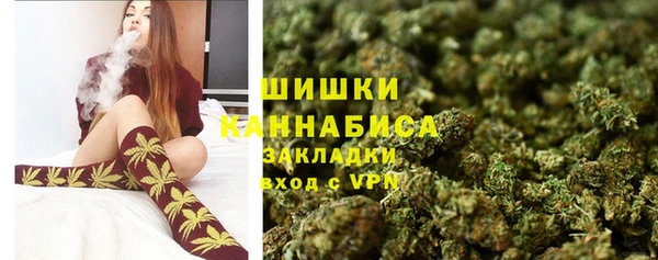 spice Бородино